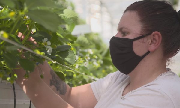 Arbeitsmigranten_1 Arte Doku Die Lückenschließer